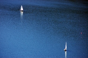vele, mare, barche, acqua, blu, azzurro, regata, due, bianco