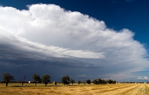 nuvole, alberi, cielo, campo, campagna, bianco, campi, panorama, paesaggio