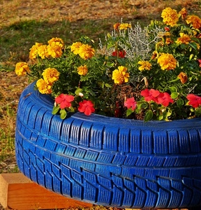 fiori, giallo, blu, rosso, gomma, verde, pneumatico, azzurro, prato, foglie, legno, piante, ruota, tagete, copertone, colori, fioriera, battistrada, petali