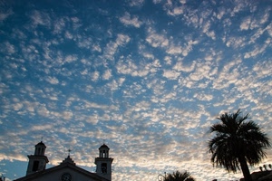 nuvole, cielo, chiesa, palma, campanili, pecorelle, albero