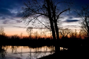 tramonto, alberi, acqua, lago, cielo, albero, riflessi, nuvole, riflesso