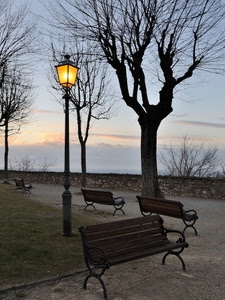 panchine, alberi, lampione, cielo, lampioni, prato, rami, tramonto, luce