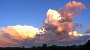 cielo, nuvole, tramonto, alberi, azzurro, rosso, nuvola, arancione, rosa, controluce, piante, bianco