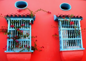 finestre, rosso, azzurro, due, fiori, parete, grate, celeste, cerchi, piante