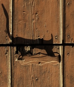 ombra, legno, portone, gatto, maniglia, chiodi, venature, marrone, porta, righe