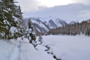 neve, inverno, alberi, montagna, montagne, bianco, nuvole, bosco