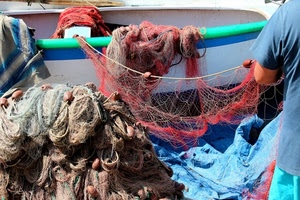 reti, barca, pescatore, galleggianti, rete, pesca, blu, pescare, rosso