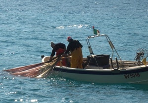 barca, mare, pescatori, rete, pescare, pesca, due, bandiera, acqua, reti