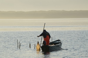 barca, pescatore, rete, acqua, mare, motore, remi, rosso, pali, remo, lago, pescare, uomo, nassa, pesca, arancione, foschia