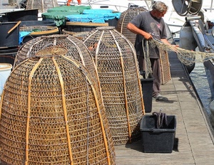 pescatore, rete, reti, nasse, porto, uomo, pescare, mare, ceste