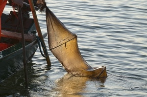 barca, mare, acqua, rete, pescare, pesca, nassa