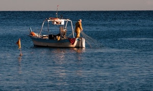 mare, barca, rete, pescare, pescatore, acqua, pesca, reti