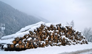 neve, tronchi, legna, inverno, catasta, bianco, nebbia, alberi, montagna, bosco