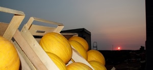 meloni, cassette, giallo, tramonto, sole, frutta, gialli, cibo