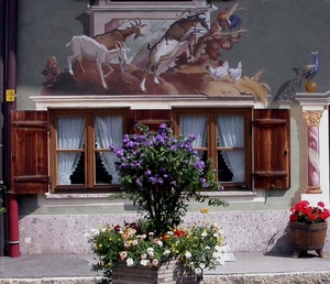 finestre, fiori, due, murales, tendine, finestra, piante, tende, vasi, dipinto, pianta
