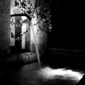 acqua, fontana, nero, bianconero, cannella, notte, foglie, edera, bianco, getto