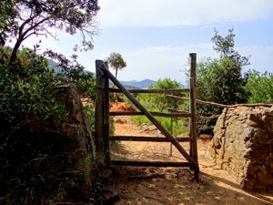 cancello, legno, alberi, strada, verde, muro, sentiero, erba, staccionata, terra, cielo
