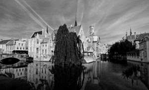 bianconero, ponte, riflesso, fiume, acqua, albero, riflessi, case