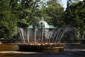 fontana, acqua, alberi, verde, cupola, spruzzi, parco, zampilli