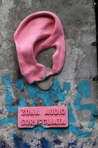 orecchio, rosa, scritta, muro, insegna, targa, azzurro