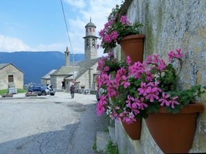 fiori, chiesa, vasi, campanile, strada, piazza, piante, scorcio, campanili, auto
