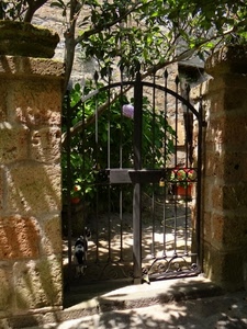 cancello, ombre, albero, ferro, casa, giardino, alberi, ingresso, gatto, verde, metallo, muro