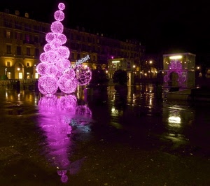 piazza, rosa, luci, notturno, viola, natale, albero, riflessi, notte, bagnato, pioggia, palle, riflesso