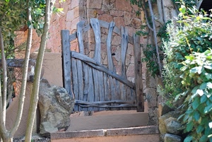 cancello, legno, piante, verde, muro, gradini, foglie, alberi