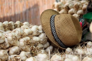 cappello, paglia, aglio, bianco, teste, agli, nastro, spicchi