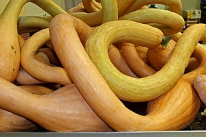 zucche, curve, giallo, arancione, verde, cibo, ortaggio, verdure, zucchine, autunno, ortaggi, mercato