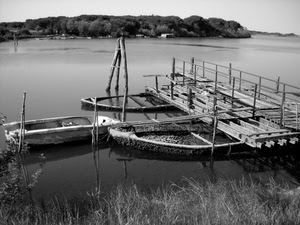 barche, pontile, acqua, lago, bianconero, fiume, barca, erba, pali, legno