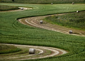 curve, balle, erba, prato, fieno, verde, campo, campagna, covoni