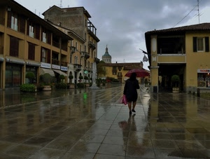 pioggia, ombrello, piazza, riflesso, donna, passante, bagnato, nuvole, maltempo, signora, piante