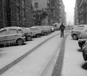 neve, strada, nevicata, inverno, auto, macchine, automobili, bianco