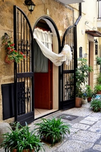 cancello, porta, tenda, piante, vasi, lampione, verde, fiori