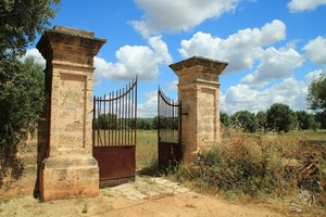 cancello, nuvole, pilastri, cielo, alberi, campagna, colonne, aperto