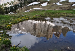 lago, riflesso, neve, montagna, montagne, alberi, fiori, acqua, verde