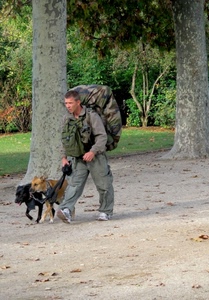 cani, alberi, uomo, zaino, zaini, animali, verde, guinzaglio, due, tronchi