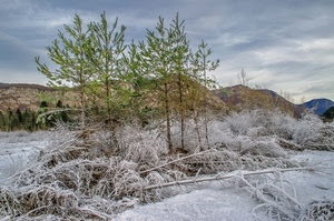 alberi, bianco, cielo, ghiaccio, verde, inverno, nuvole, montagne, brina, rami, neve, freddo, paesaggio, piante, gelo, colline, montagna