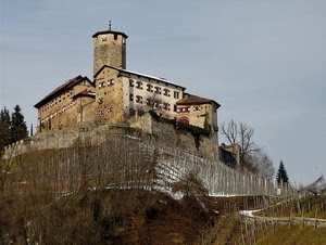 castello, torre, neve, alberi, collina, inverno, vigneto, medioevo, finestre