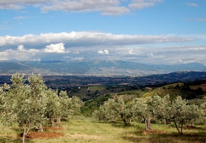 panorama, nuvole, ulivi, alberi, montagne, campagna, olivi, verde, paesaggio, cielo, colline, prato, pianura