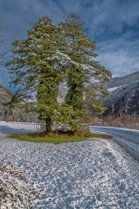 neve, alberi, verde, montagna, bianco, montagne, nuvole, foglie, cielo, inverno, rami, albero, due, strada