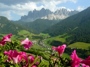 montagne, fiori, nuvole, verde, alberi, cielo, paese, boschi, valle, piante, cime, rosa, vallata, prati, case, paesaggio, montagna, fucsia, petali