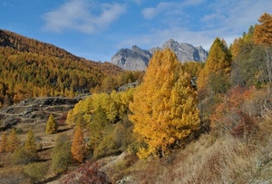 alberi, montagna, autunno, giallo, cielo, montagne, nuvole, foglie, bosco