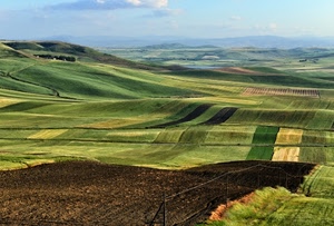 verde, campi, panorama, cielo, coltivazioni, colline, paesaggio, terra, marrone, campo, nuvole, giallo, erba, prato, recinzione, colori
