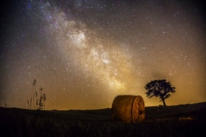 stelle, albero, cielo, campo, notturno, notte, fieno, covone, balla