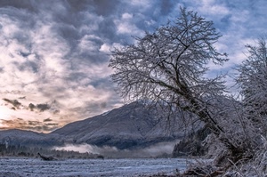 montagna, nuvole, albero, neve, inverno, gelo, cielo, alberi