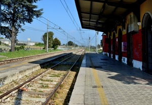 stazione, binari, rotaie, alberi, binario, albero, ferrovia, ombra