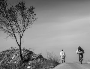 albero, strada, bianconero, bicicletta, ciclista, pedone, due