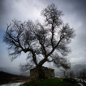 albero, inverno, rami, casa, cielo, neve, montagna, spoglio, nebbia, nuvole
